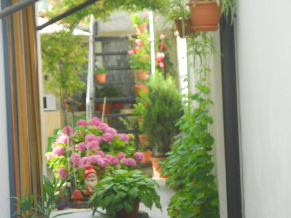 Appartement Dom Eli à Pomorie Extérieur photo